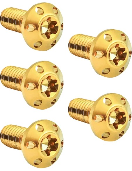 ARLEN NESS Montagematerial & Zubehör - BOLT KIT ROTOR REAR HOLESHOT 5