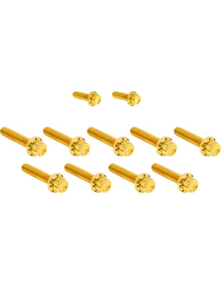 ARLEN NESS Montagematerial & Zubehör - BOLT KIT TITANIUM - FLT 17-23