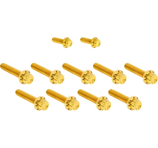 ARLEN NESS Montagematerial & Zubehör - BOLT KIT TITANIUM - FLT 17-23