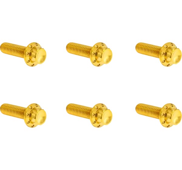 ARLEN NESS Montagematerial & Zubehör - BOLT KIT TITANIUM - TC&M8 07-2