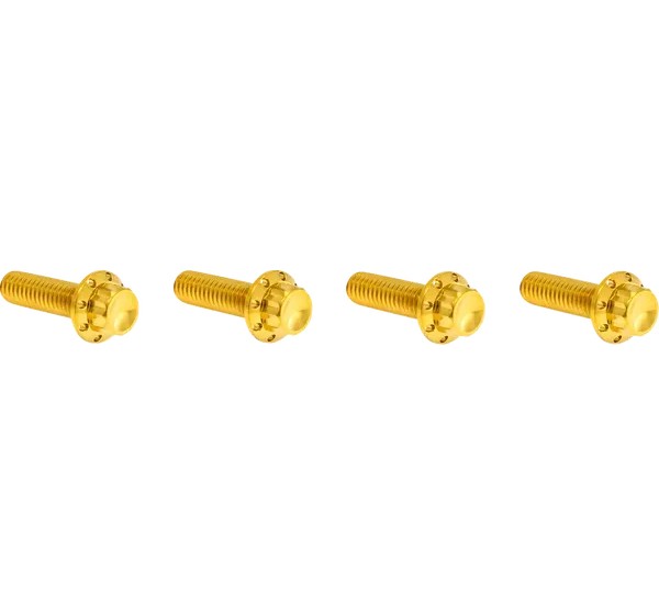 ARLEN NESS Montagematerial & Zubehör - BOLT KIT TITANIUM - M8 24-25 -