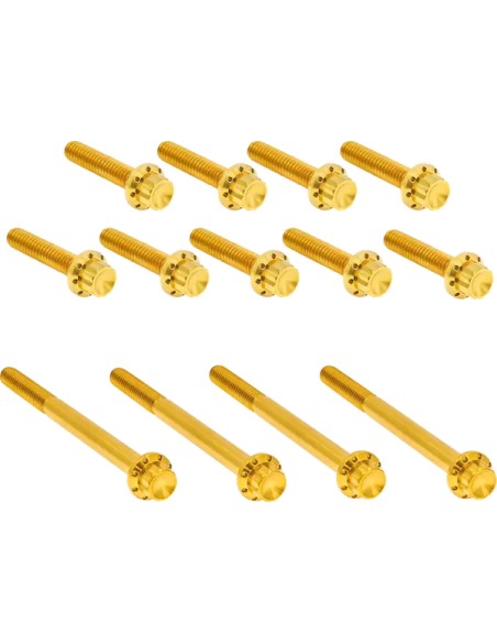 ARLEN NESS Montagematerial & Zubehör - BOLT KIT TITANIUM - TC 00-17 -