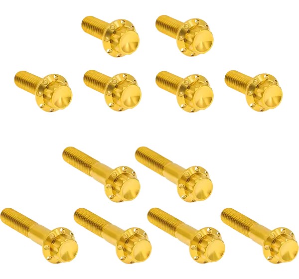 ARLEN NESS Montagematerial & Zubehör - BOLT KIT TITANIUM - TC 00-17 -