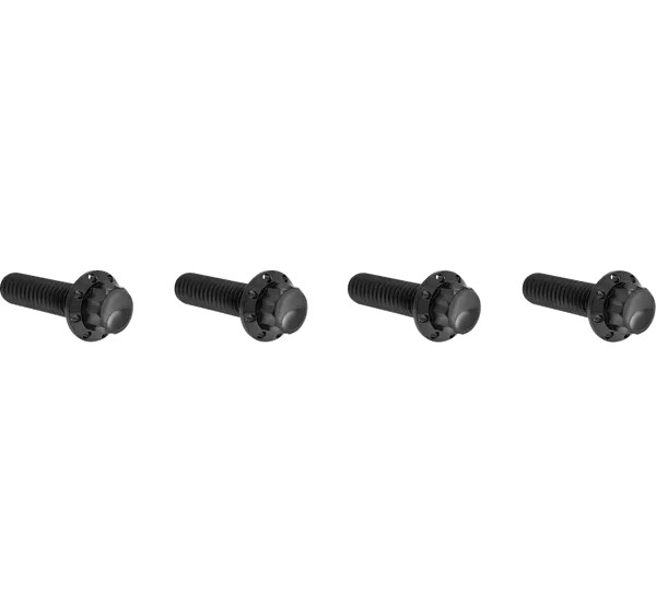 ARLEN NESS Montagematerial & Zubehör - BOLT KIT TITANIUM - M8 24-25 -