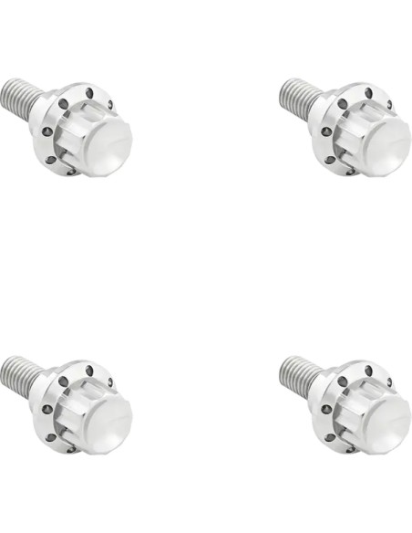 ARLEN NESS Montagematerial & Zubehör - BOLT KIT TITANIUM - FLTR 23-25
