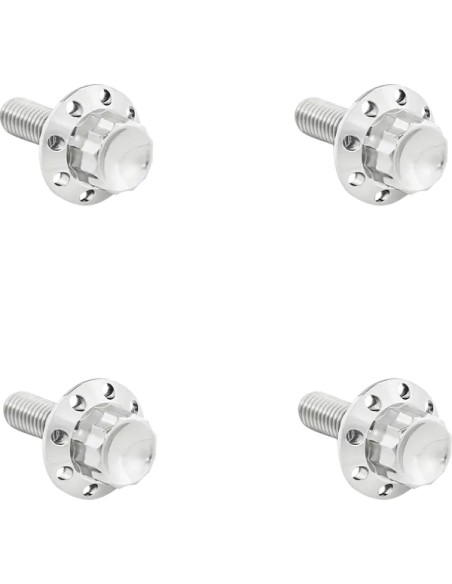 ARLEN NESS Montagematerial & Zubehör - BOLT KIT TITANIUM - FLT 15-23