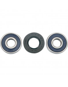 MOOSE RACING RADLAGER UND DICHTUNGSSATZ 2