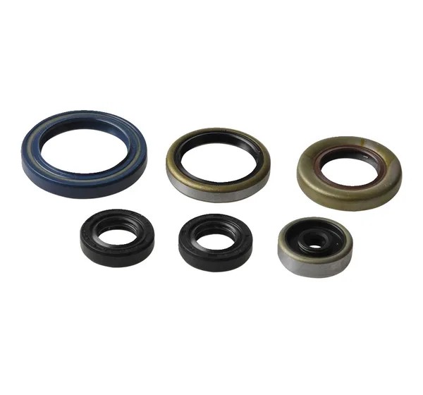 ATHENA Dichtungen & Öldichtungen für KTM SX 85 17/14 2003-2016