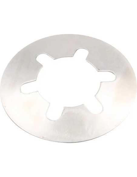 BELT DRIVES LTD. Kupplungen & Kupplungskomponenten - DIAPHRAGM SPRG PLT