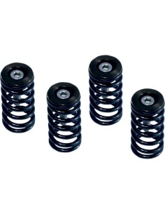 Kupplungsfeder-Kit