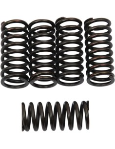 Kupplungsfeder-Kit