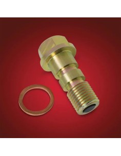 Magnetische Ablassschraube