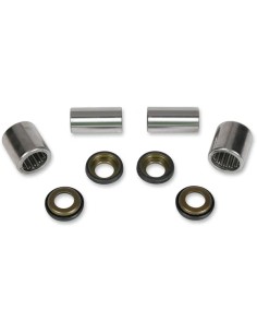 Schwingenlager-Kit