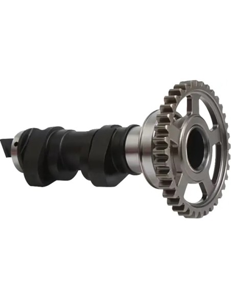 HOT CAMS Ventilsteuerung für HONDA CRF 450 RX 2017-2020