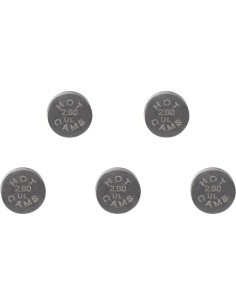 Ersatz-Ventilplättchen