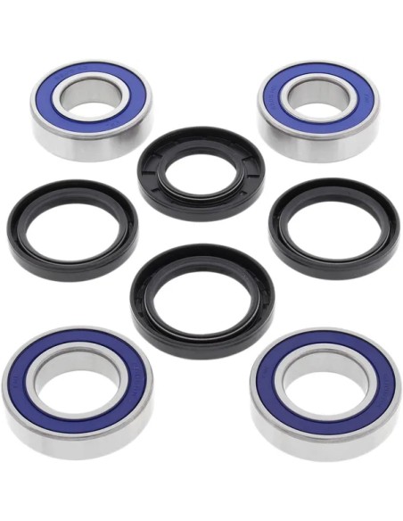 ALL BALLS Lager- und Dichtungssätze für APRILIA SMV 750 2008-2015