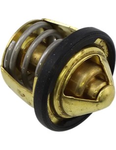 Ersatz-Thermostat - Polaris