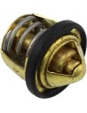 Ersatz-Thermostat - Polaris