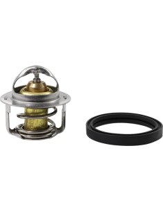 Ersatz-Thermostat - Polaris