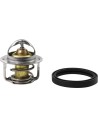 Ersatz-Thermostat - Polaris