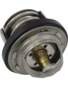 Ersatz-Thermostat - Polaris