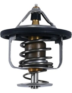 Ersatz-Thermostat - Polaris
