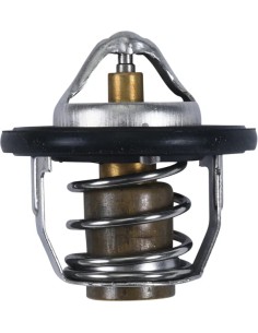 Ersatz-Thermostat - Polaris