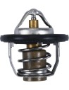 Ersatz-Thermostat - Polaris