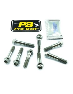 Titanium Bremssattel-Klemmsatz