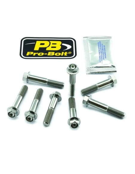 PRO BOLT Bremssattel - BOLT KIT FRONT CALIPER TIT