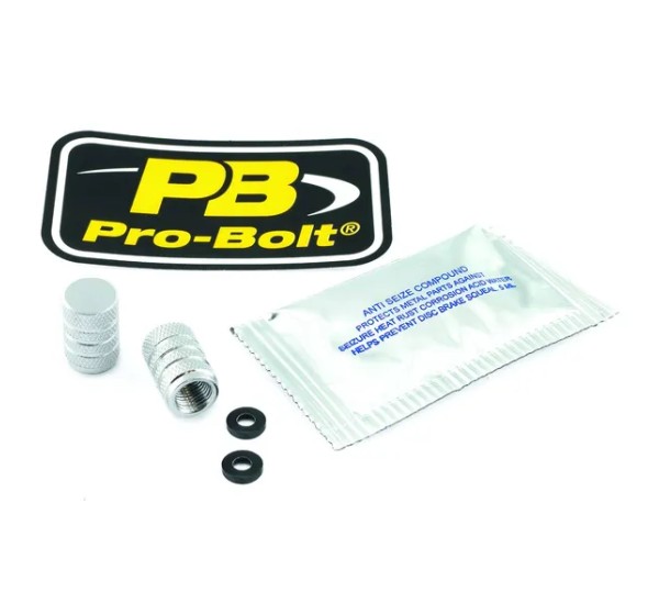 PRO BOLT Ventilschäfte - CAP VALVE STEM SILVER