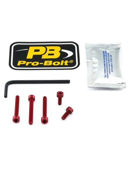 PRO BOLT Tankdeckel für HONDA CBR 1000 RR ABS 2017-2019