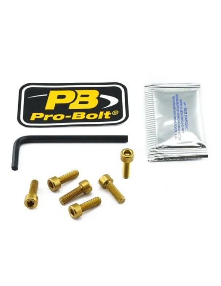 PRO BOLT Tankdeckel für KAWASAKI EX 300 ABS 2013-2017