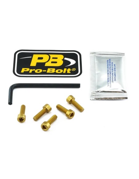 PRO BOLT Tankdeckel für KAWASAKI KLE 650 ABS 2015-2021