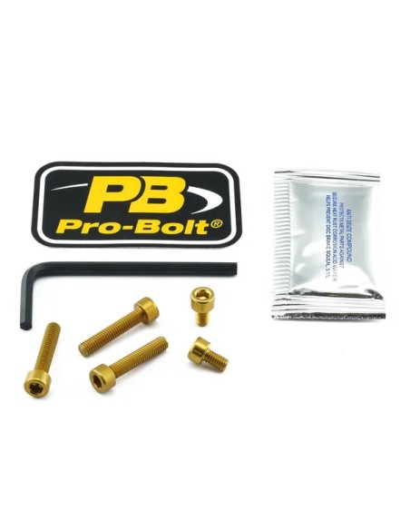 PRO BOLT Tankdeckel für KAWASAKI Z 1000 ABS 2014-2020