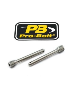 Bremssattelbolzen