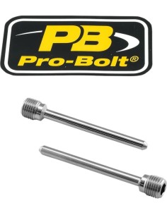 Bremssattelbolzen