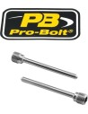 Bremssattelbolzen
