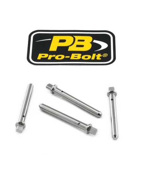 PRO BOLT Bremssattel für APRILIA TUONO 1000 R 2003-2010
