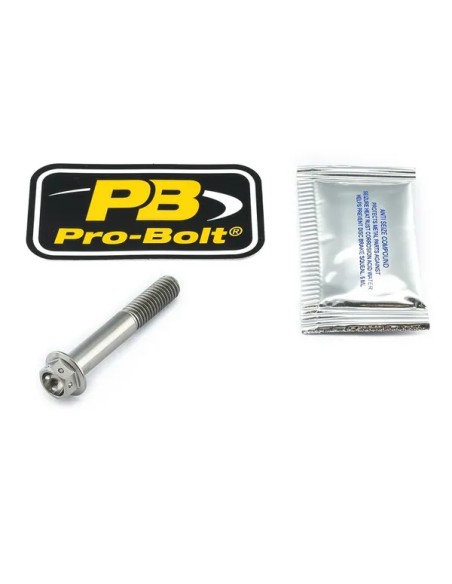 PRO BOLT Bremssattel für YAMAHA MT-01 1700 2005-2012