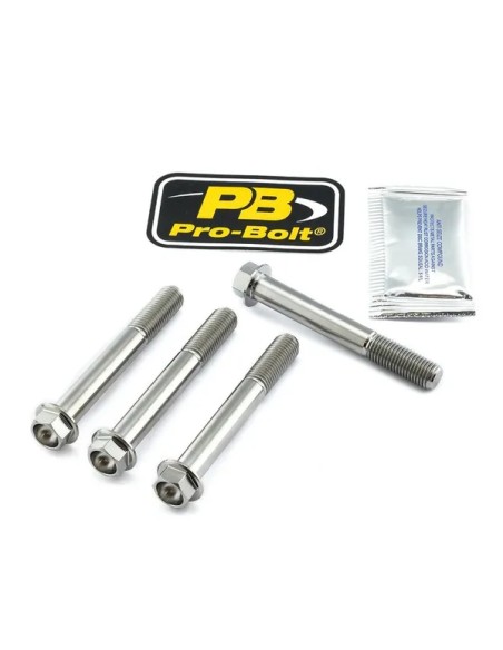 PRO BOLT Bremssattel für KAWASAKI Z 1000 ABS 2010-2020