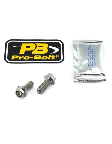 PRO BOLT Bremssattel für DUCATI PANIGALE V4 1100 S ABS 2018-2024