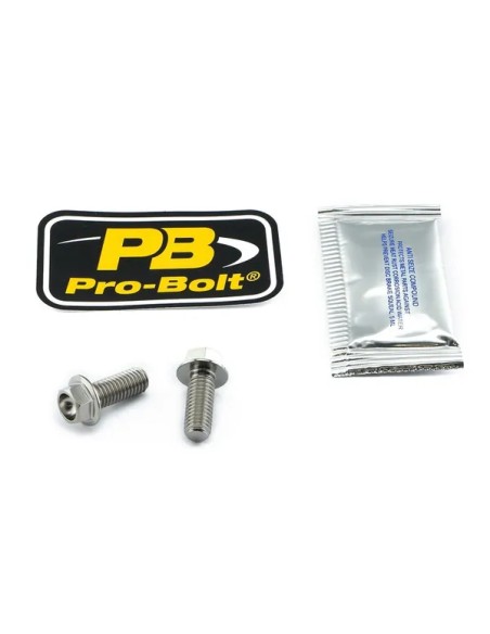 PRO BOLT Bremssattel für APRILIA RSV4 1000 2009-2013