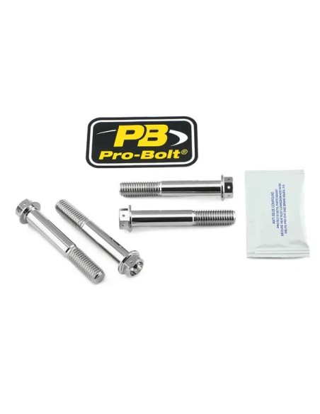PRO BOLT Montagematerial & Zubehör für BMW S 1000 RR ABS 2010-2024