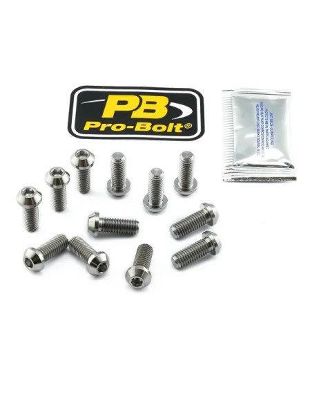 PRO BOLT Bremsscheiben für DUCATI SS 900 1990-1998