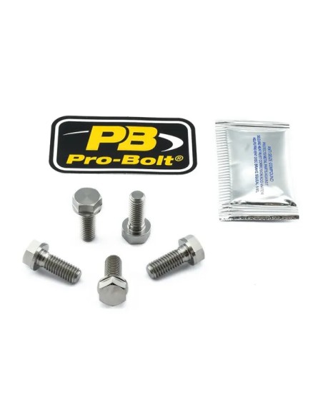 PRO BOLT Bremsscheiben für APRILIA SMV 750 ABS 2009-2016