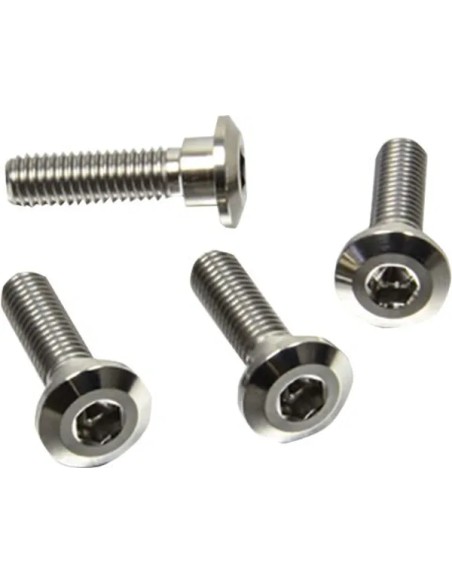 PRO BOLT Bremsscheiben für TRIUMPH DAYTONA 675 2006-2015