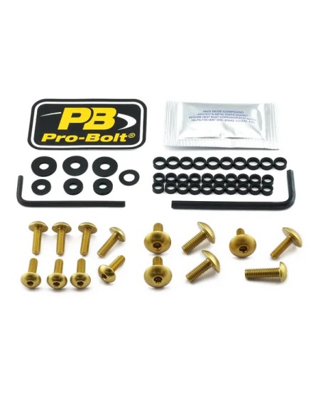 PRO BOLT Montagematerial & Zubehör für DUCATI MONSTER 1200 R ABS 2016-2019