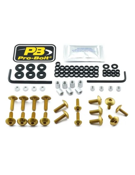 PRO BOLT Montagematerial & Zubehör für SUZUKI GSX 1300 R ABS 2013-2015