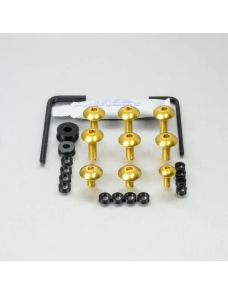 PRO BOLT Montagematerial & Zubehör für TRIUMPH STREET TRIPLE 765 R ABS 2017-2023
